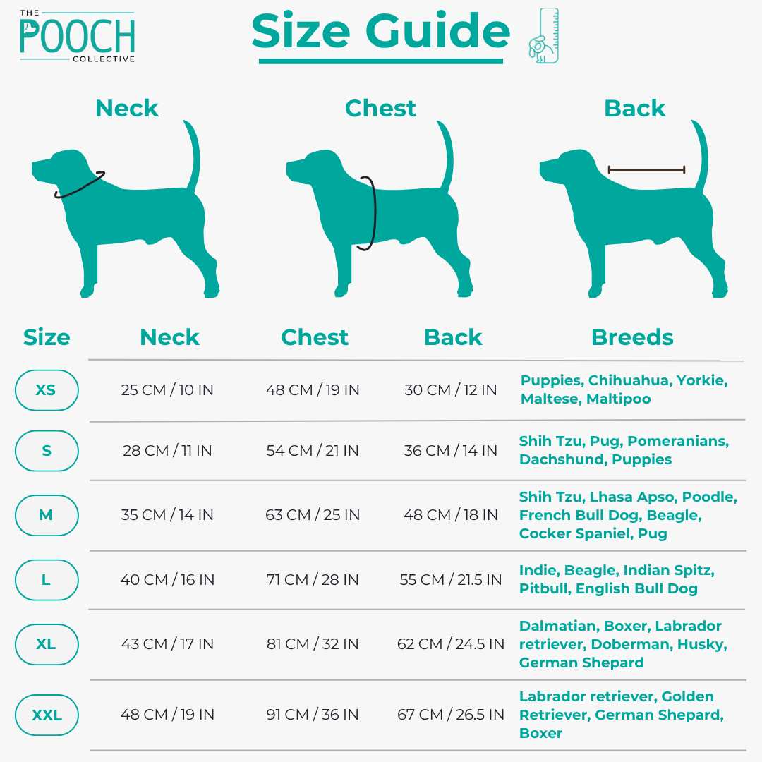 Cookies & Cuddles Bundle & Save ( Dog + Hooman )