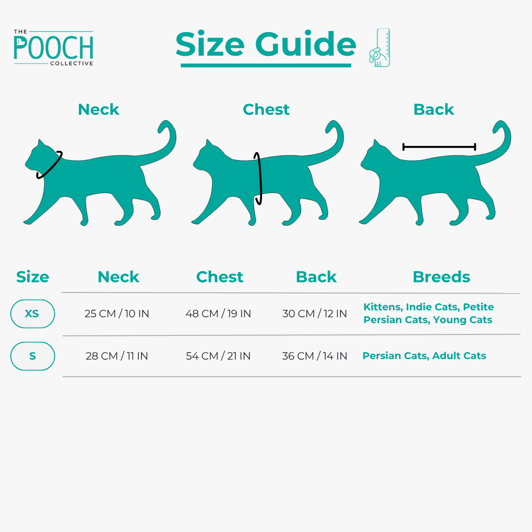 Hot Cocoa Cosy Vibes Bundle & Save ( Cat + Hooman )