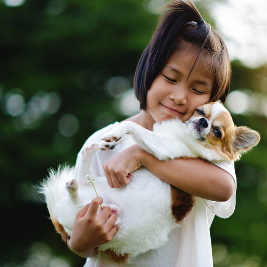 How Dogs Help Reduce Stress: Your Everyday Furry Therapist