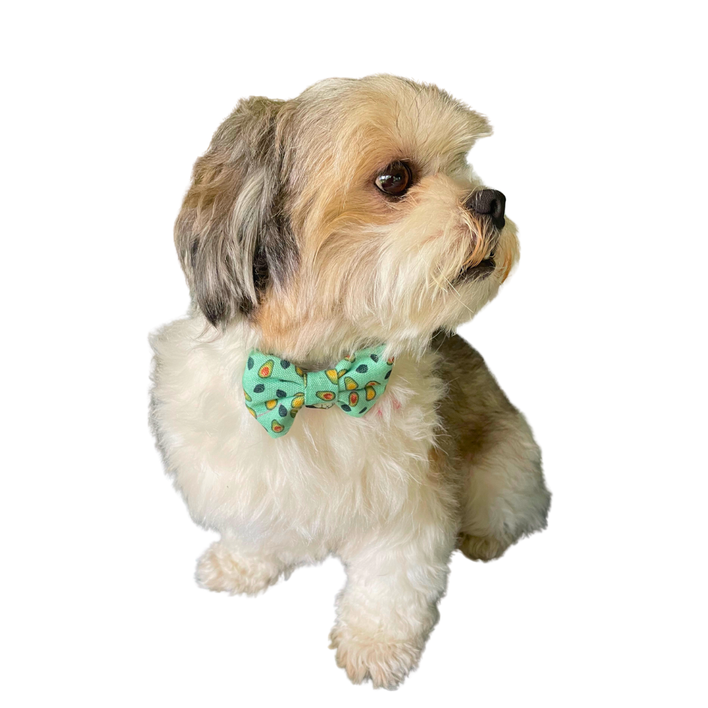 Avocado Love - Bow tie