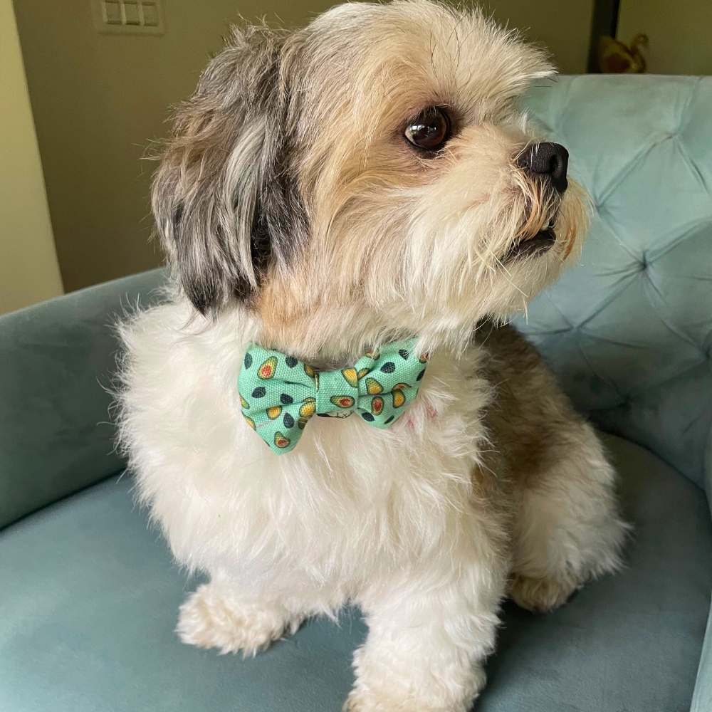Avocado Love - Bow tie