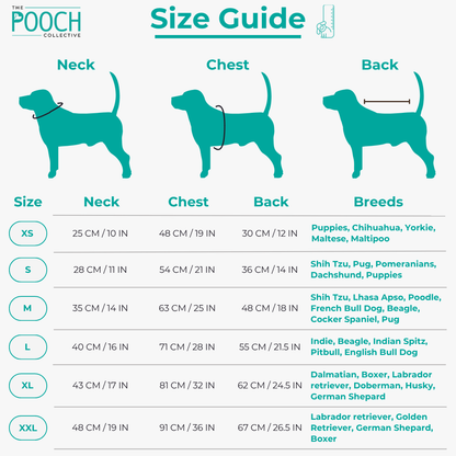 Bday Edit Barkday Cutie T-shirt Aqua Green