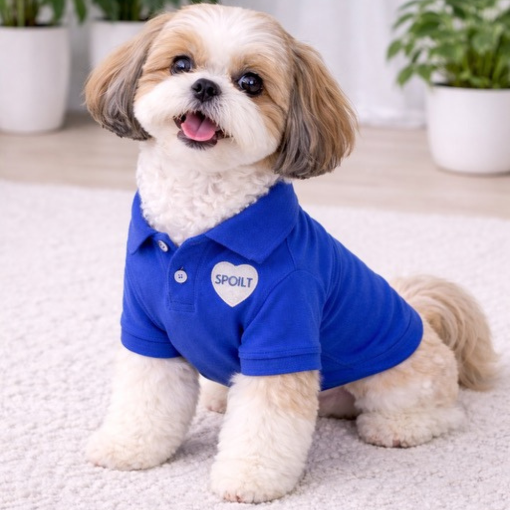 Dog Polo T-Shirt – Spoilt (Blue)