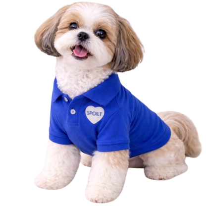 Dog Polo T-Shirt – Spoilt (Blue)