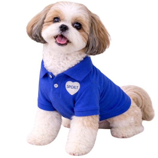 Dog Polo T-Shirt – Spoilt (Blue)