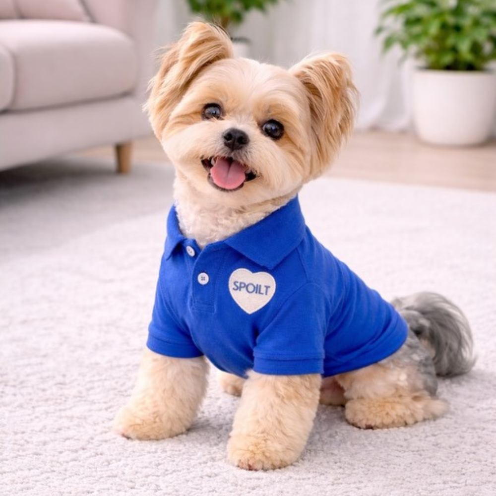 Dog Polo T-Shirt – Spoilt (Blue)