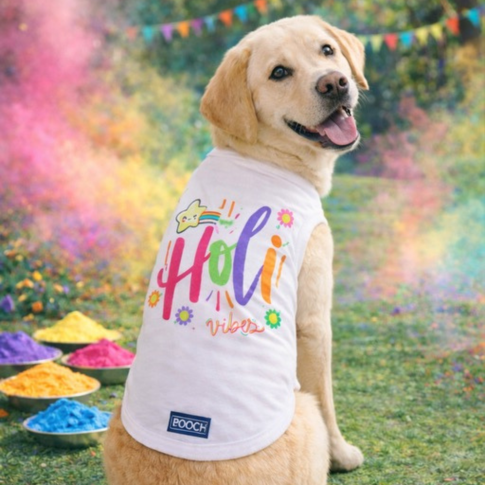 Phool Barse Holi Dog Tank