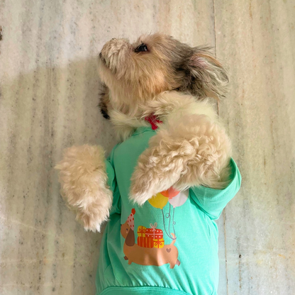 Bday Edit Barkday Cutie T-shirt Aqua Green