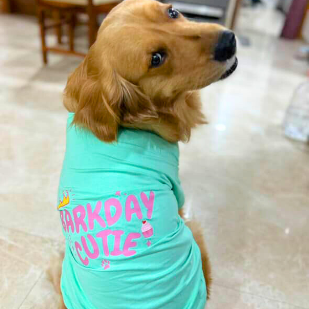 Bday Edit Barkday Cutie T-shirt Aqua Green