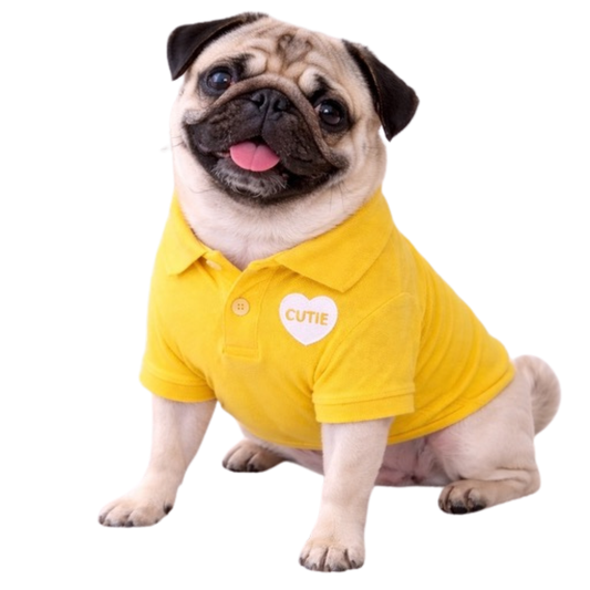 Dog Polo T-Shirt – Cutie (Yellow)