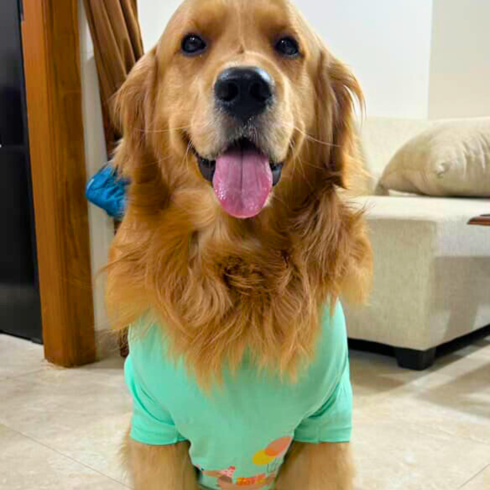 Bday Edit Barkday Cutie T-shirt Aqua Green