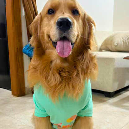 Bday Edit Barkday Cutie T-shirt Aqua Green