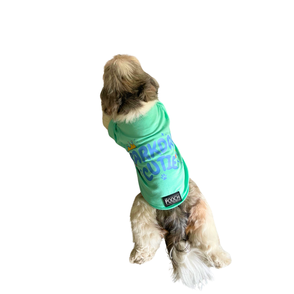 Bday Edit Barkday Cutie T-shirt Aqua Green