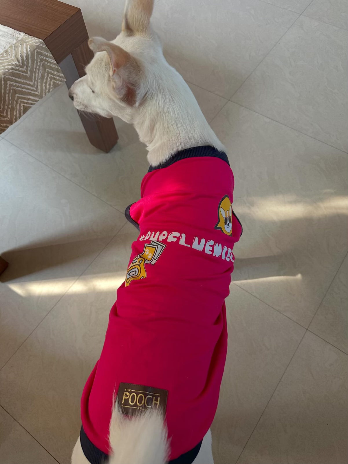 #pupfluencer Fleece Sweatshirt