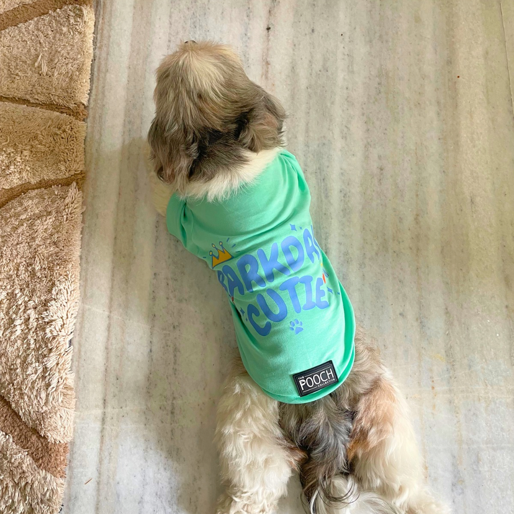 Bday Edit Barkday Cutie T-shirt Aqua Green