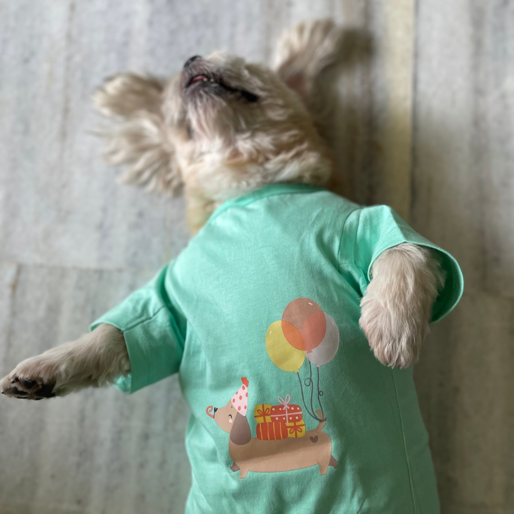 Bday Edit Barkday Cutie T-shirt Aqua Green