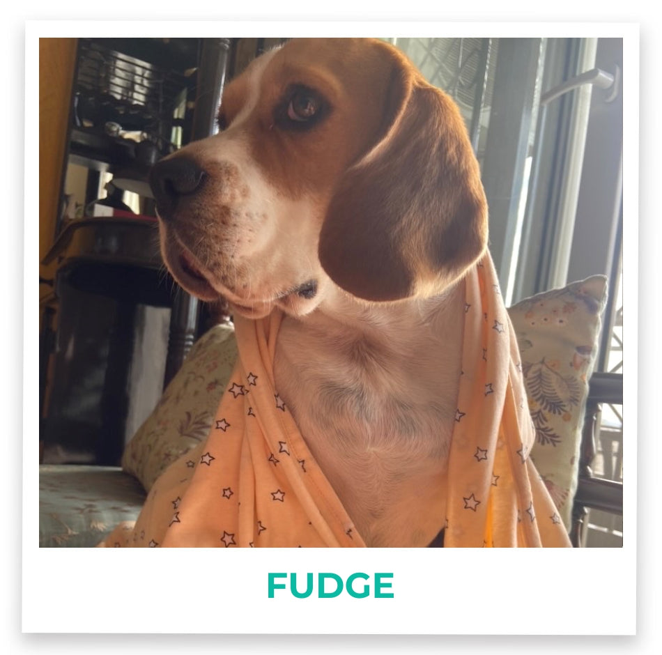 Fudge1