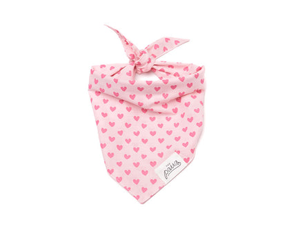 Miss-Muffy-Bandana