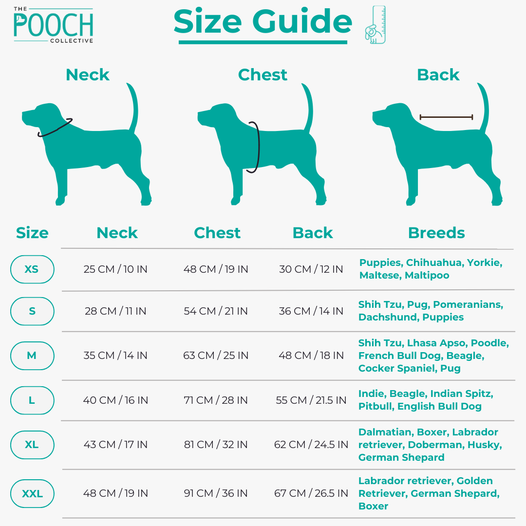 Dog Polo T-Shirt – Spoilt (Blue)