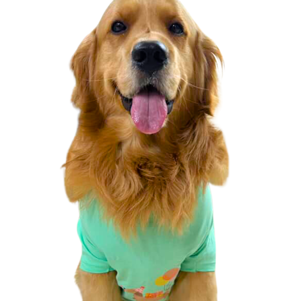 Bday Edit Barkday Cutie T-shirt Aqua Green
