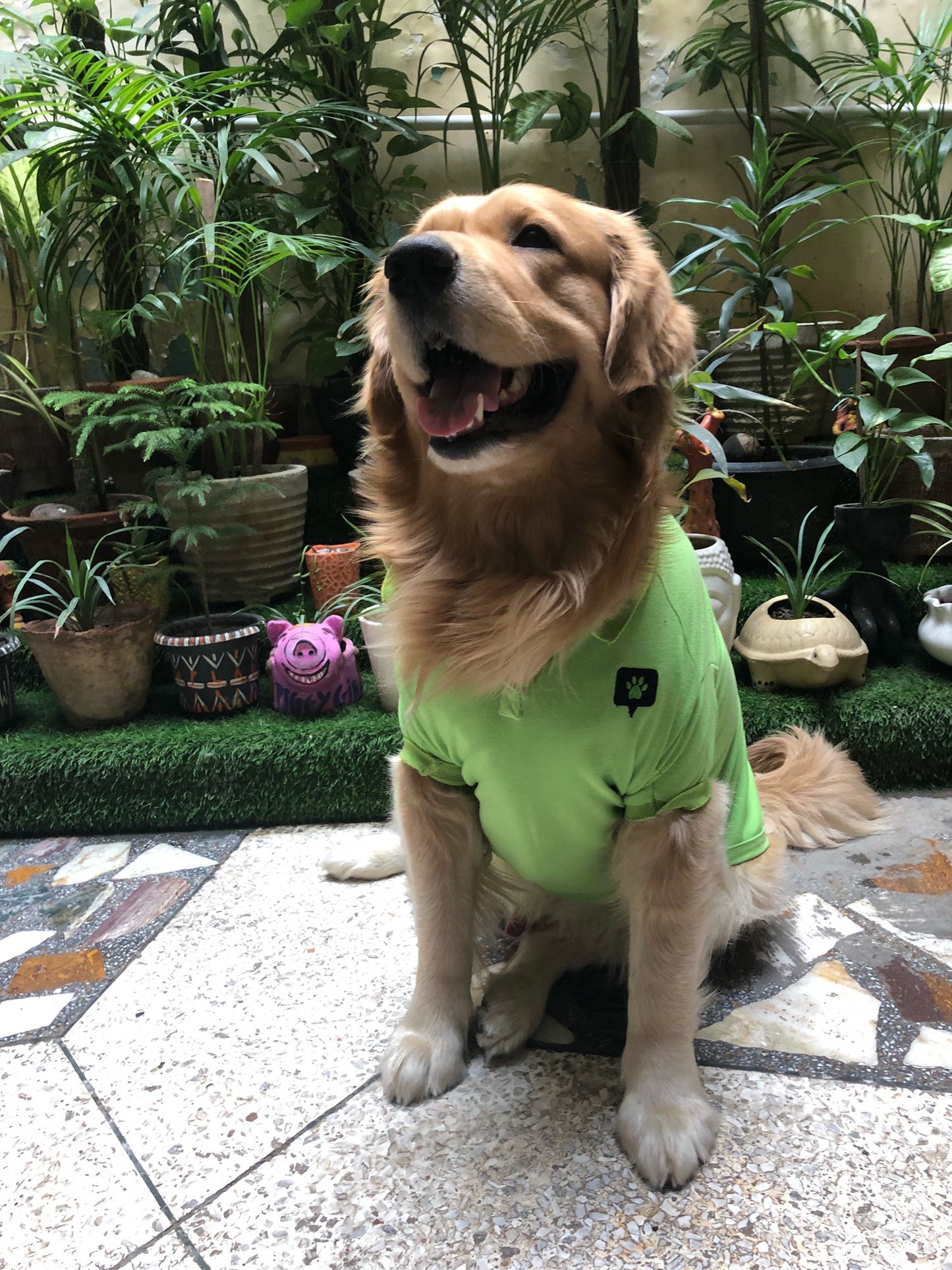 Kiwi To My Heart Polo